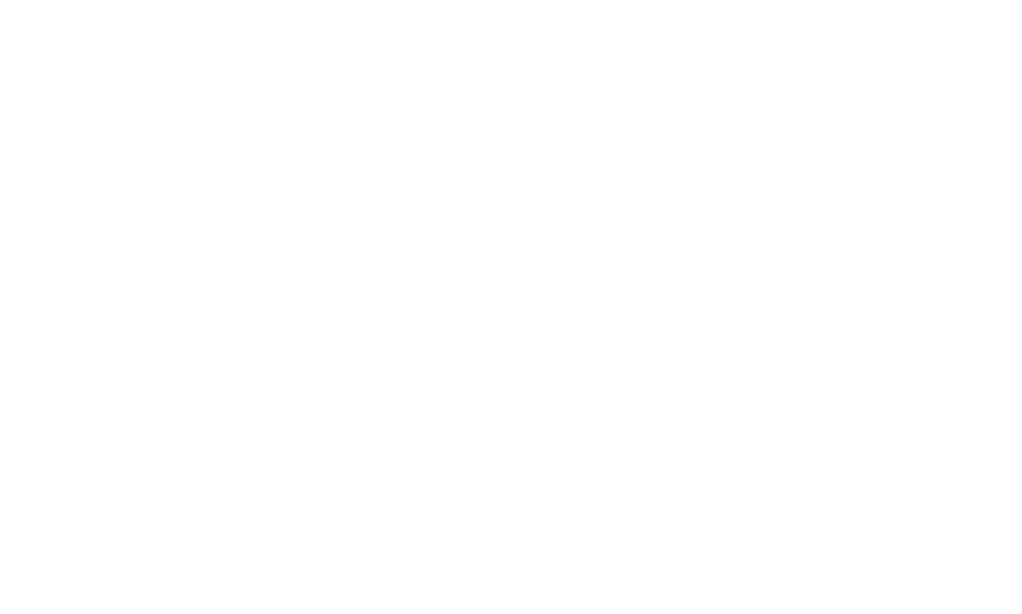 WW-Automobile Logo